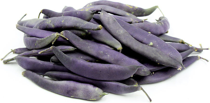 Purple Valor - per lb